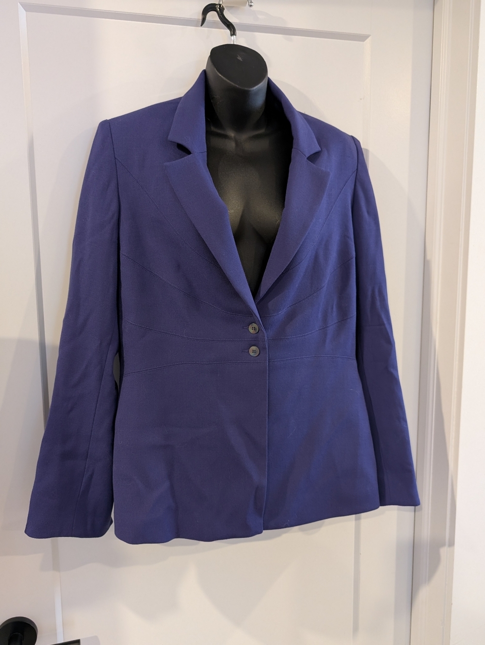 Freda's Purple Blazer Size 14
